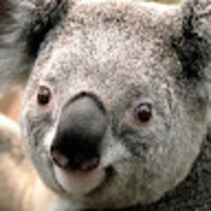 Meet your Posher, Eshana